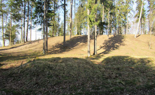 53_Gegrenu piliakalniu takas. A. Brazdeikytes n (6).jpg